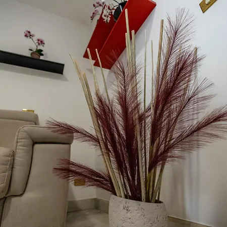 Apartment La Casetta In The Town - Gallipoli - Salento Tuglie