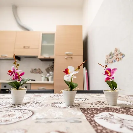 Apartment La Casetta In The Town - Gallipoli - Salento